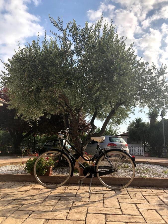 B&B Villa Eden Ortona Εξωτερικό φωτογραφία